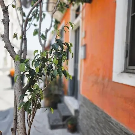 Apartmán Marisol Katánie