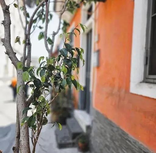 公寓 Marisol 卡塔尼亚